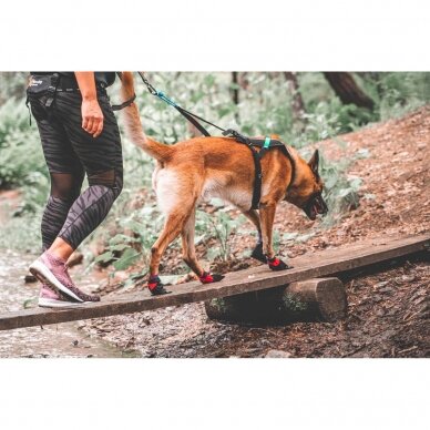 NON- STOP  SOLID SOCKS rugged and comfortable booties for dogs 1