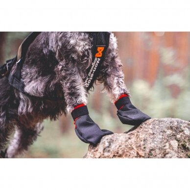 NON- STOP  SOLID SOCKS rugged and comfortable booties for dogs 2