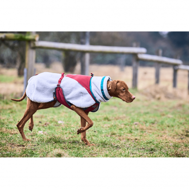 Non-Stop TREKKING FLEECE DOG JACKET fliso paltukas šunims 2