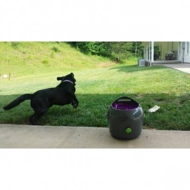 PETSAFE AUTOMATIC BALL LAUNCHER kamuoliukų šaudymo prietaisas šunims 9