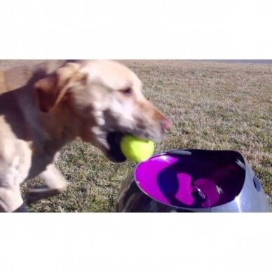 PETSAFE AUTOMATIC BALL LAUNCHER kamuoliukų šaudymo prietaisas šunims 10
