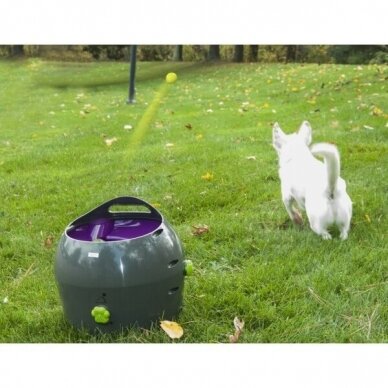 PETSAFE AUTOMATIC BALL LAUNCHER kamuoliukų šaudymo prietaisas šunims 12