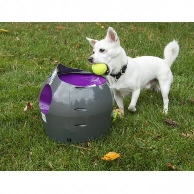PETSAFE AUTOMATIC BALL LAUNCHER kamuoliukų šaudymo prietaisas šunims 13