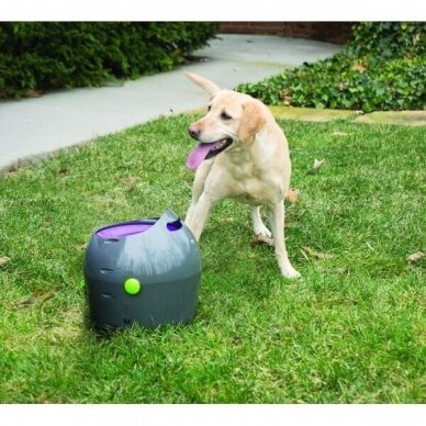 PETSAFE AUTOMATIC BALL LAUNCHER kamuoliukų šaudymo prietaisas šunims 5