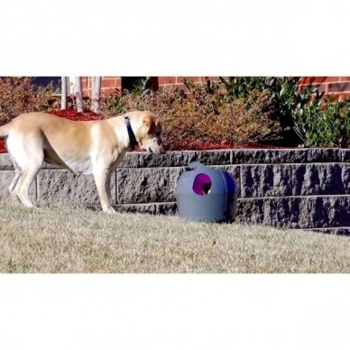PETSAFE AUTOMATIC BALL LAUNCHER kamuoliukų šaudymo prietaisas šunims 7