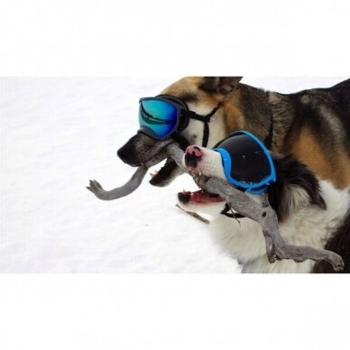 REX SPECS DOG GOGGLES apsauginiai akiniai šunims 7