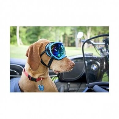 REX SPECS DOG GOGGLES apsauginiai akiniai šunims 8