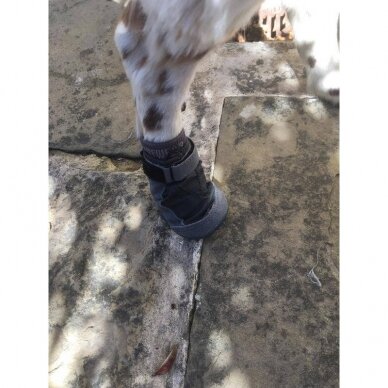 Ruffwear BARK’N BOOT™ DOG SOCKS kojinės šunims 3