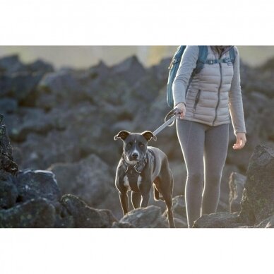 RUFFWEAR FRONT RANGE™ HARNESS Padded, Everyday Adventure 10