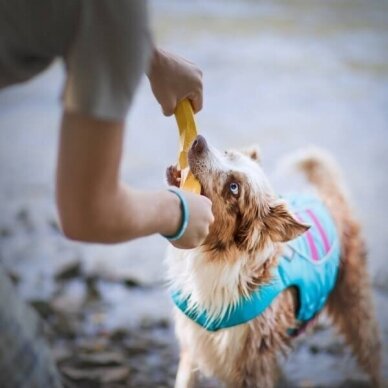 RUFFWEAR GNAWT-A-STICK™ Resilient, Natural Rubber Throw  dog Toy 7