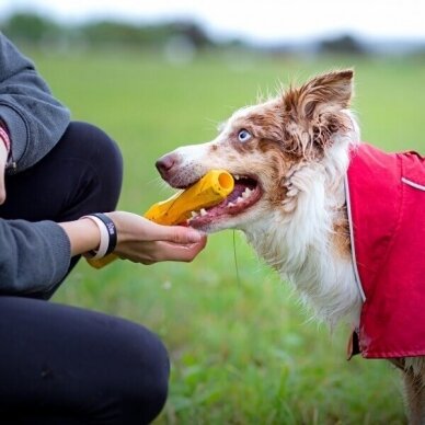 RUFFWEAR GNAWT-A-STICK™ natūralios gumos žaislas šunims 8