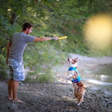 RUFFWEAR GNAWT-A-STICK™ Resilient, Natural Rubber Throw  dog Toy 9