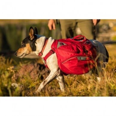 RUFFWEAR PALISADES PACK™ kelioninė kuprinė šunims 7