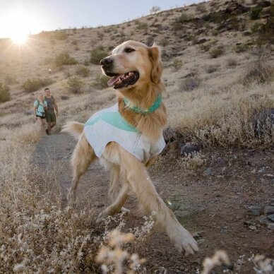 Ruffwear Swamp Cooler™ Cooling Neck Gaiter vėsinanti kaklaskarė šunims 4