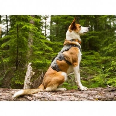 RUFFWEAR WEB MASTER™ HARNESS viso kūno petnešos šunims 7