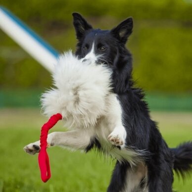 SHEEP TOY WITH BUNGEE HANDLE dog toy from natural sheepskin 4