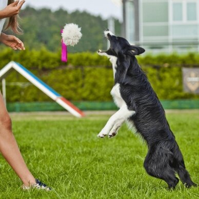 SHEEP TOY WITH BUNGEE HANDLE dog toy from natural sheepskin 5