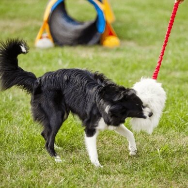 SHEEP TOY WITH BUNGEE HANDLE dog toy from natural sheepskin 6