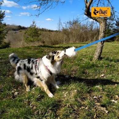 SHEEP TOY WITH LONG HANDLE tug dog toy 3