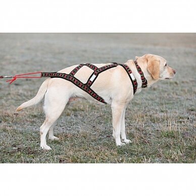 ManMat SLED harness pakinktai šunims 5
