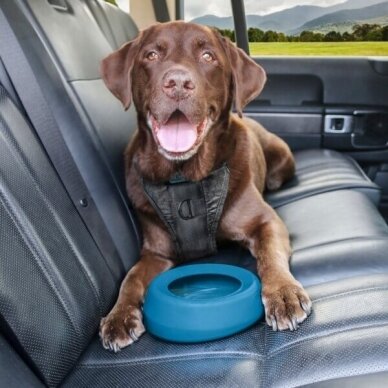 Kurgo Splash-Free Wander Water Bowl has cracked the code 5