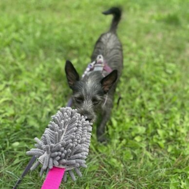 SQUEAKY MOP BITE TUG dog toy 4