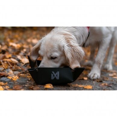 TREKKING BOWL a collapsible dog bowl 5