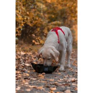 TREKKING BOWL a collapsible dog bowl 6