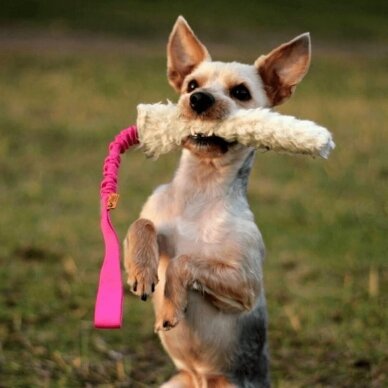 WOOL TUG -BUNGEE dog toy 2