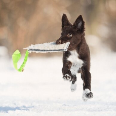 WOOL TUG -BUNGEE dog toy 3